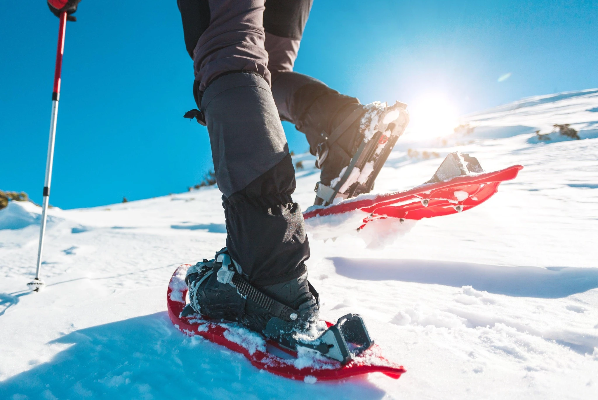 5 reasons to LOVE snowshoeing - Moose Voyage - Best Outdoor Apparel Canada - Moose Voyage - www.moosevoyage.ca